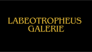 Labeotropheus Standorte Bildergalerie Labeotropheus Standorte Bildergalerie