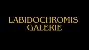 Labidochromis Standorte Bildergalerie
