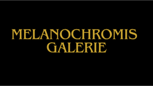 Melanochromis Standorte Bildergalerie