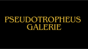 Pseudotropheus Standorte Bildergalerie