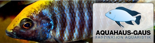 Aquahaus-Gaus
