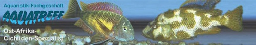 Aquatreff