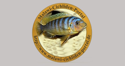 Malawi-Cuchliden Portal