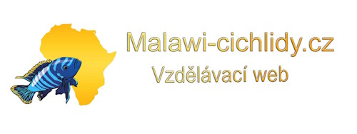 Malawi Cichlidy