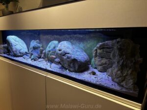 Sammlung aller Fels-Übergangszone-Aquarien