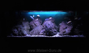 Felszone-Mbuna-Becken 756 Liter