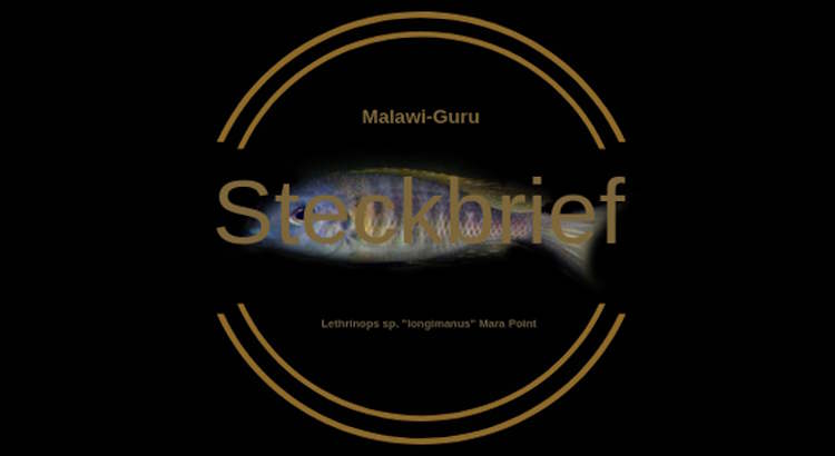 Lethrinops sp. longimanus