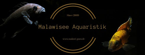 Unsere Facebook Gruppe