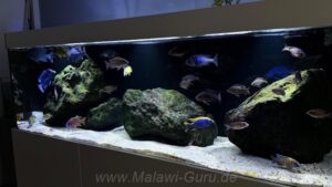 720 Liter-Nonmbuna-Becken-Beispiel