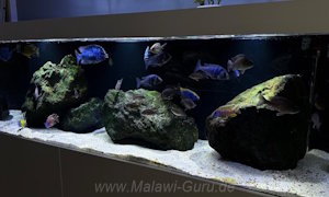 720 Liter-Nonmbuna-Becken-Beispiel mit Eckdaten 720 Liter-Nonmbuna-Becken-Beispiel