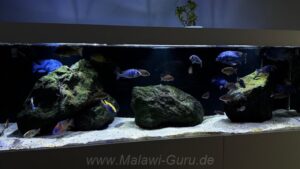 720 Liter-Nonmbuna-Becken-Beispiel