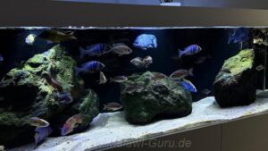 720 Liter-Nonmbuna-Becken-Beispiel