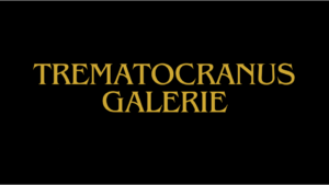Trematocranus-Arten-Galerie