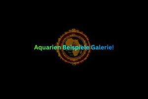 Die Aquarien-Galerie %Buntbarsche Malawisee%