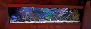 1050 Liter Nonmbuna Malawisee