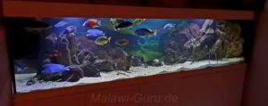 1050 Liter Nonmbuna Malawisee