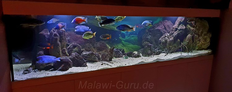1050 Liter Nonmbuna Malawisee
