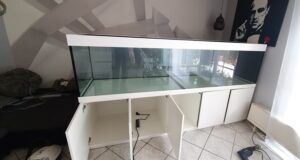 1050 Liter Nonmbuna Malawisee