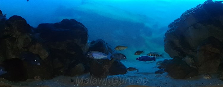 1050 Liter Nonmbuna Malawisee