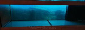 1050 Liter Nonmbuna Malawisee