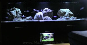 1050 Liter Nonmbuna Becken