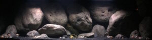 1078‑Liter-Aquarium 1078 Liter Sandzone Aquarium