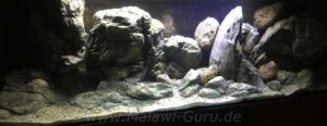 1080 Liter Becken mit Mbuna