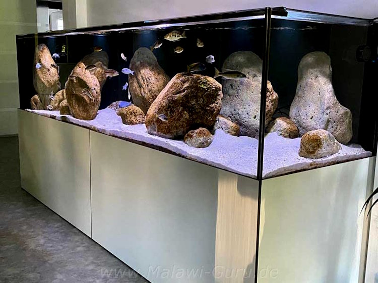 1456 Liter-Nonmbuna Aquarium