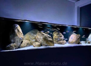 1456 Liter-Nonmbuna Aquarium