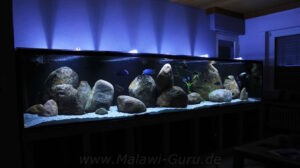 2900 Liter Nonmbuna Aquarium