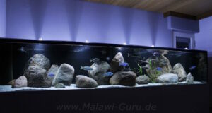 2900 Liter Nonmbuna Aquarium