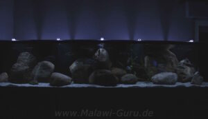2900 Liter Nonmbuna Aquarium