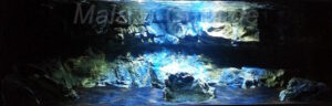 400 Liter Nonmbuna-Mbuna Mix Becken