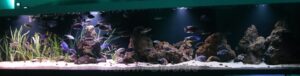 4000 Liter Aquarium