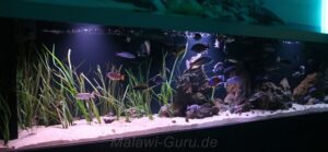 4000 Liter Aquarium