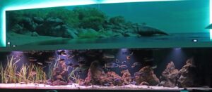 4000 Liter Aquarium