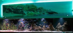 4000 Liter Aquarium