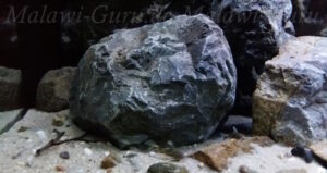 432 Liter Mbuna Becken