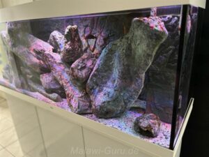 450 Liter Mbuna Malawisee