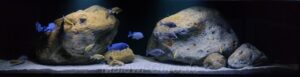 Nonmbuna Aquarium 450 Liter