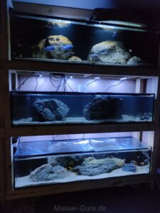 Nonmbuna Aquarium 450 Liter