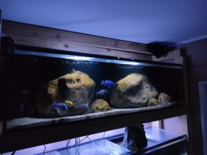 Nonmbuna Aquarium 450 Liter
