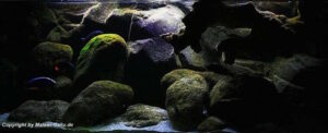 Utaka Becken mit 540 Liter