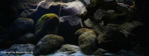 Utaka Becken mit 540 Liter