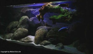 Utaka Becken mit 540 Liter