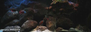 Utaka Becken mit 540 Liter