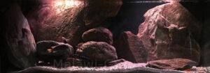 576 Liter Malawisee Becken