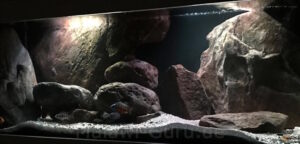 576 Liter Malawisee Becken