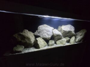 648-Liter-Mbuna-Felszone
