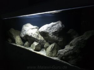 648-Liter-Mbuna-Felszone